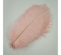 Lot de 10 plumes d'autruche colorées pour vêtements, loisirs créatifs, décoration de maison, centres de table, vases, rose clair, 20-25 cm