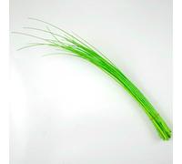 Lot de 10 plumes d'autruche colorées, tiges rigides, épines de plumes pour la création de chapeaux et accessoires de chapellerie, 45-50 cm, vert plume.