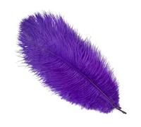 Lot de 10 plumes d'autruche moelleuses pour loisirs créatifs, travaux d'aiguille, plumes naturelles, attrape-rêves, décoration de mariage, 15-30 cm, violet, 15-20 cm, 6-8 pouce