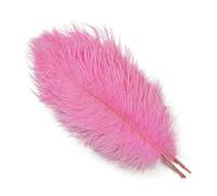 Lot de 10 plumes d'autruche moelleuses pour loisirs créatifs, travaux d'aiguille, plumes naturelles, attrape-rêves, décoration de mariage, 15-30 cm, rose, 25-30 cm, 10-12 pouces