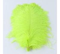 Lot de 10 plumes d'autruche orange, décoration de bijoux, artisanat, centres de table, accessoires, 15-55 cm, 6-22 pouces, grande plume décorative, vert fluo, 45-50 cm