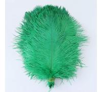 Lot de 10 plumes d'autruche orange, décoration de bijoux, artisanat, centres de table, accessoires, 15-55 cm, 6-22 pouces, grande plume décorative, 40 vert gazon, 50-55 cm, 20-22 pouces