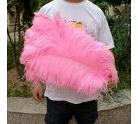 Lot de 10 plumes d'autruche violettes (25-50 cm) pour loisirs créatifs, décoration de carnaval, centres de table, vases et accessoires artisanaux - Rose - 45-50 cm