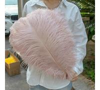 Lot de 10 plumes d'autruche violettes (25-50 cm) pour loisirs créatifs, décoration de carnaval, centres de table, vases, accessoires artisanaux - Cuir rose - 25-30 cm