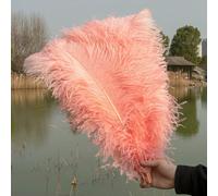 Lot de 10 plumes d'autruche violettes (25-50 cm) pour loisirs créatifs, décoration de carnaval, centres de table, vases, accessoires artisanaux - Rose crevette - 40-45 cm