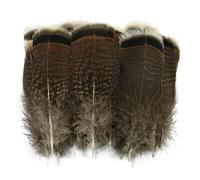 Lot de 10 plumes de faisan naturelles, plumes de dinde, plumes d'aigle pour loisirs créatifs, carnaval, attrape-rêves, plumes décoratives, naturelles