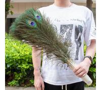 Lot de 10 plumes de paon naturelles de 25 à 70 cm pour décoration de vase, artisanat, grand vase pour la maison, accessoires d'artisanat de vacances, plumes-60-70 cm-10 pièces