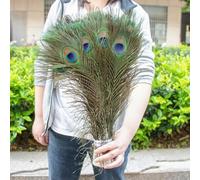 Lot de 10 plumes de paon naturelles de 25 à 70 cm pour décoration de vase, artisanat, grand vase pour la maison, accessoires d'artisanat de vacances, plumes-40-50 cm-10 pièces