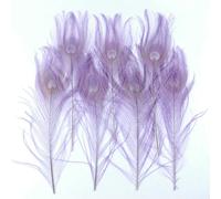 Lot de 10 plumes de paon teintées pour travaux manuels, grands yeux de paon, décoration de bijoux, vase de maison, décoration [Violet clair, 25 à 30 cm]