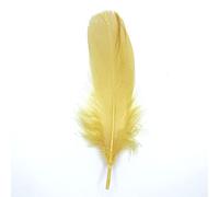 Lot de 10 plumes d'oie naturelles - Environ 15-20 cm - Couleur sable - Beige - Tête - 24 plumes d'oie - Plumes de queue - Pour mariage, carnaval, fête, déguisements, loisirs créatifs