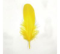 Lot de 10 plumes d'oie naturelles - Environ 15-20 cm - Jaune - Tête - 24 plumes d'oie - Plumes de queue d'oie - Pour mariage, carnaval, fête, déguisements, loisirs créatifs