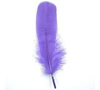 Lot de 10 plumes d'oie naturelles - Environ 15-20 cm - Lilas - Tête - 24 plumes d'oie - Plumes de queue d'oie - Pour mariage, carnaval, fête, déguisements, loisirs créatifs