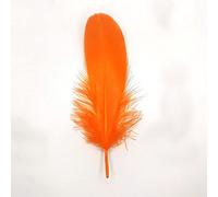 Lot de 10 plumes d'oie naturelles - Environ 15-20 cm - Orange - Tête - 24 plumes de queue d'oie - Plumes de queue - Pour mariage, carnaval, fête, déguisements, loisirs créatifs
