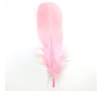 Lot de 10 plumes d'oie naturelles - Environ 15-20 cm - Rose clair - Tête 24 plumes de queue d'oie - Plumes de queue - Pour mariage, carnaval, fête, déguisements, loisirs créatifs