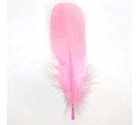 Lot de 10 plumes d'oie naturelles - Environ 15-20 cm - Rose - Tête - 24 plumes de queue d'oie - Plumes de queue - Pour mariage, carnaval, fête, déguisements, loisirs créatifs