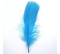 Lot de 10 plumes d'oie naturelles - Environ 15-20 cm - Turquoise - Tête - 24 plumes de queue d'oie - Plumes de queue - Pour mariage, carnaval, fête, déguisements, loisirs créatifs