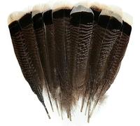 Lot de 10 plumes naturelles d'aigle, d'oiseau et de dinde, pour loisirs créatifs, centre de table, mariage, fabrication de bijoux, décoration, accessoires pour cheveux, 23-30 cm, 9,2-12 pouces