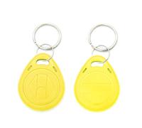 Lot de 10 porte-clés RFID 125 kHz avec anneau fendu pour système de contrôle d'accès de porte