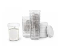 Suavinex - Pots de conservation 200 ml - 10 unités - Blanc