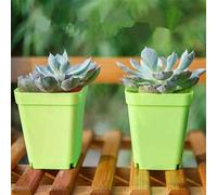 Lot de 10 pots de fleurs carrés en plastique avec plateaux de drainage pour jardins d'intérieur et culture de petites plantes (vert)