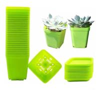 Lot de 10 pots de fleurs carrés en plastique avec trous de drainage et plateaux pour cultiver diverses plantes (vert)