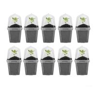 Lot de 10 pots de fleurs en forme de dôme pour jardiniers d'intérieur pour cultiver des herbes, des micropousses et des petites plantes ornementales
