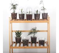 Lot de 10 pots de pépinière avec plateau dôme pour utilisation en serre intérieure, propagation des plantes et contrôle de l'humidité du sol
