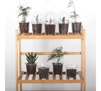 Lot de 10 pots de pépinière transparents réutilisables avec plateau en dôme d'humidité pour boutures de plantes et croissance des jeunes arbres