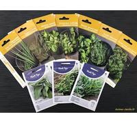 Lot de 10 sachets de graines aromatiques, plantes aromatiques