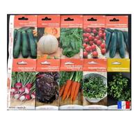 Lot de 10 sachets de graines différents, Courgette, Melon, Tomate, Radis, Carotte, français, économique, graines pas cher