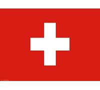 Lot de 10 sets de table - Motif drapeau de la Suisse - Décoration de table de qualité supérieure - 44 x 32 cm - Pour les célébrations de la République Alpine, les fêtes à thème et les soirées des