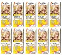 Lot de 10 shampoings Palette Color 12-0 (320) - Couleur des cheveux - Boîte complète - Avec feuille d'instructions en anglais (français non garanti)