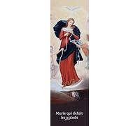 Lot de 10 signets Marie qui défait les nœuds