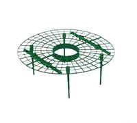 Lot de 10 supports de fraises pour élever les plantes et maintenir l'ordre du jardin