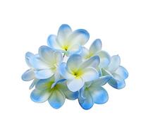 Lot de 10 tiges de fleurs de frangipanier artificielles en latex pour bouquet de fleurs de mariée, décoration, fête