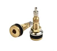 Lot de 10 tiges de valve de pneu en laiton TR618A pour roues de tracteur agricole, trou de jante de 1,6 cm, valves de pneu sans chambre à air liquide compatibles avec