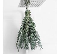 Lot de 10 tiges d'eucalyptus séchées de 43,2 cm - 100 % fabriquées à partir de Feuilles d'eucalyptus fraîches - Eucalyptus Artificiel pour Suspension de Douche, décoration de Mariage, décoration