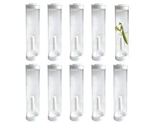 Lot de 10 tubes à essai transparents - Boîtes de rangement et de collecte - Tubes d'élevage avec couvercles - Pour études de biologie, exploration de la nature, projets scientifiques, camping