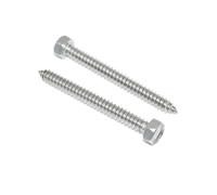 Lot de 10 vis à tôle à tête hexagonale, 5,5 x 50 mm, en acier inoxydable A2/V2A, DIN 7976 / ISO 1479, forme C