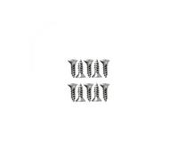 Hayward RCX3406 Lot de 10 vis de Rechange en Acier Inoxydable pour Nettoyeur Robot Select