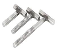 Lot de 10 vis en T M8 en acier inoxydable 304, avec poignée for la rénovation marine(M8*100)