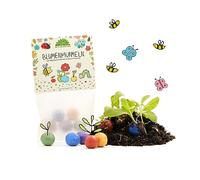 Lot de 10 x 5 billes de fleurs colorées - Petit cadeau durable pour les anniversaires d'enfants - Idée cadeau pour la crèche, l'école et les collègues - Bombes de graines comme cadeau d'invité, de