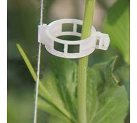 Lot de 100 attaches Pour tomates, poivrons, vignes, concombres Corde Treillis