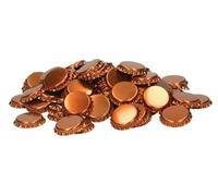 Lot de 100 bouchons de bouteille en bronze de qualité supérieure, fermoirs à sertir pour brassage et embouteillage à la maison, 26 mm