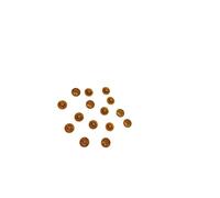 Lot de 100 capuchons pour vis Torx - Cache-vis Torx en plastique dans différentes tailles (chêne RAL 1011, TX 10)