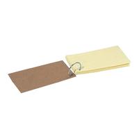 Lot de 100 cartes d'apprentissage, colorées, avec lignes, anneau, lignées des deux côtés, robustes, pour l'apprentissage, pour l'école, les études et la préparation aux examens