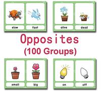 Lot de 100 cartes de poche Antonymes en anglais pour enfants | Cartes de poche d'apprentissage éducatives | Parfait pour la maternelle, les enseignants, les thérapeutes autistes