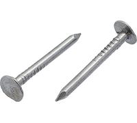 Lot de 100 clous en acier à tête large pour feutre de toit 3 mm x 40 mm