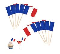 Lot de 100 cure-dents - Drapeau français - Décoration française - Petit mini cure-dents - Drapeau de la France - Cure-dents avec fanions - Pour football, coupe du monde, fête olympique