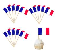 Lot de 100 cure-dents en forme de drapeau de la France, cure-dents à cocktail pour décoration de fête du championnat d'Europe, mini drapeaux de la France, cure-dents, cure-dents, sandwich, décorations